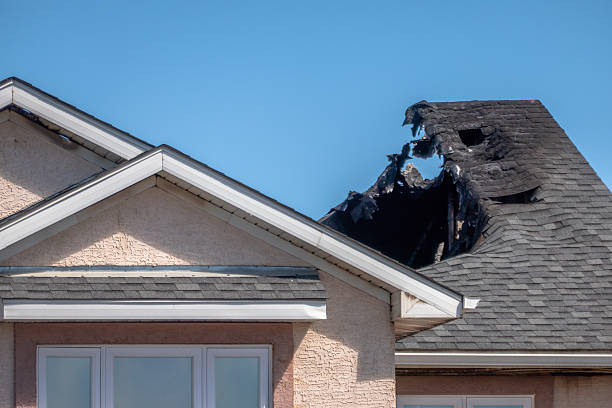 Licensed Content Restoration service in Gloucester City, NJ - Fire Damage Biloxi